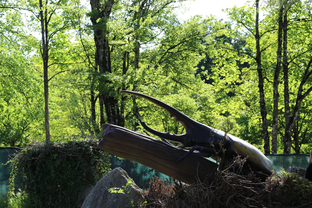 Practical information