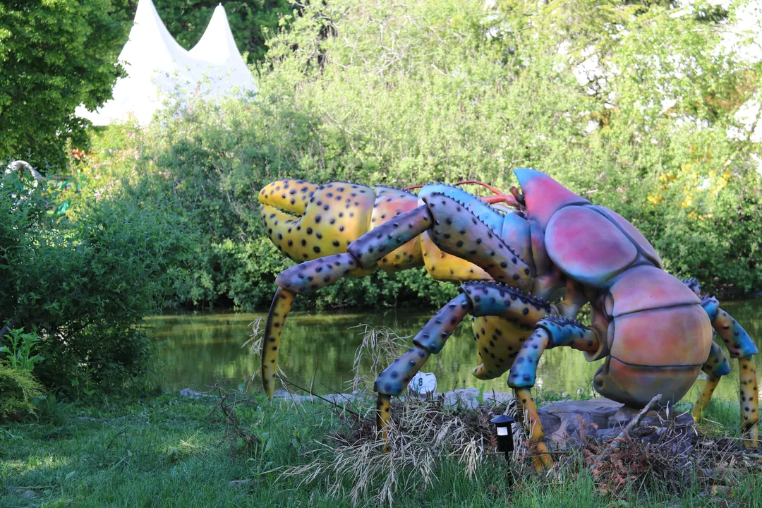 Practical information