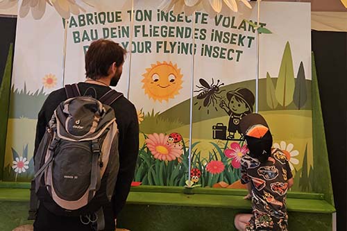 Fait voler ton insecte