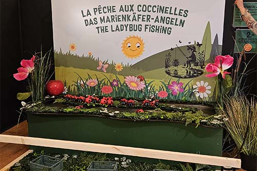 La pêche aux coccinelles