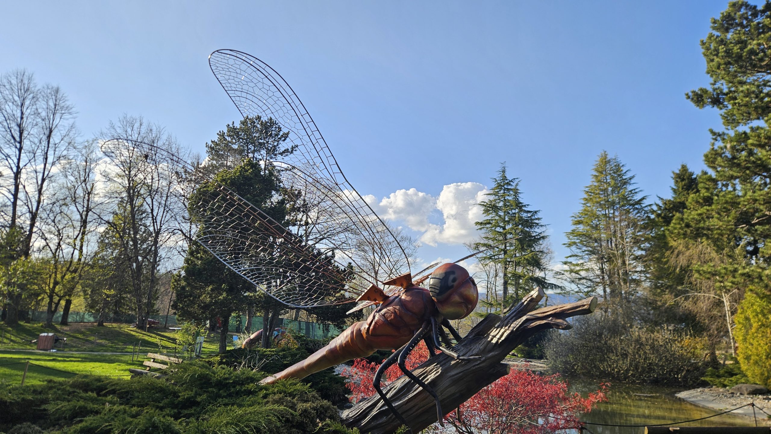 Dragonfly Dragonfly animatronic Signal de Bougy